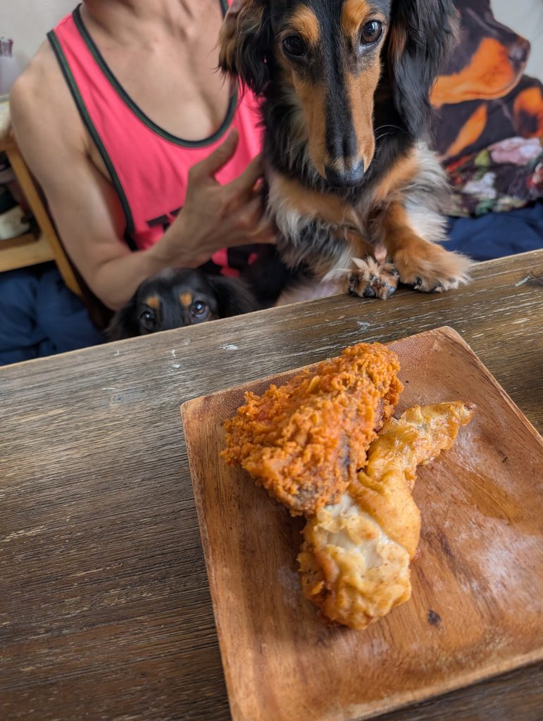 KFCを食べたがる犬