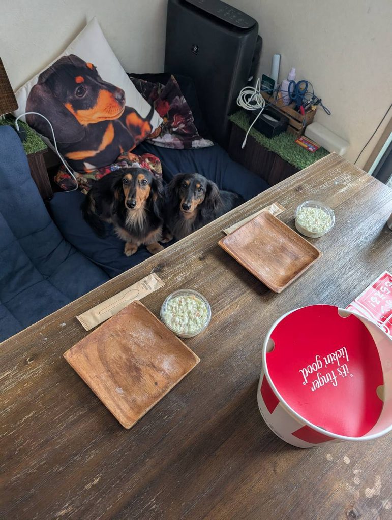 食べたそうに見る犬