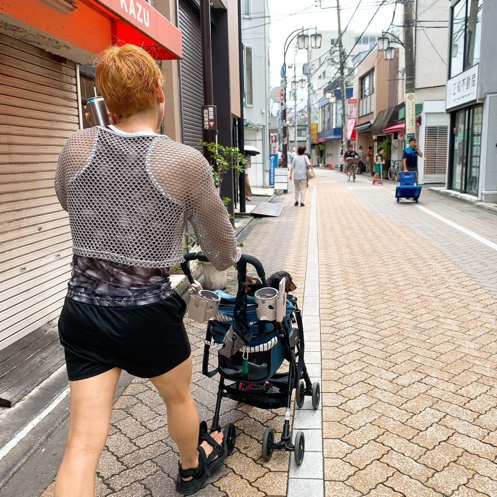 お散歩中
