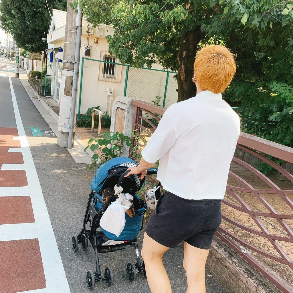 カートを押すりく
