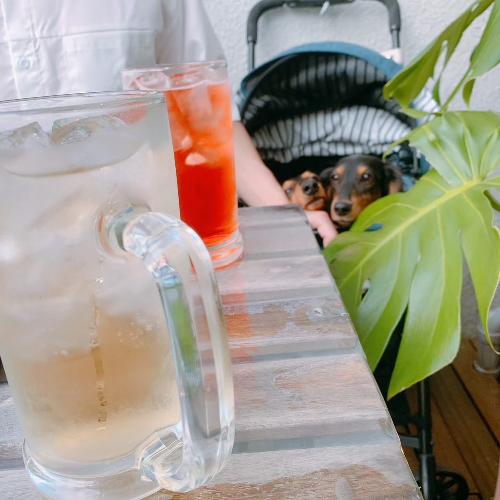 お酒を見守るかいとそら