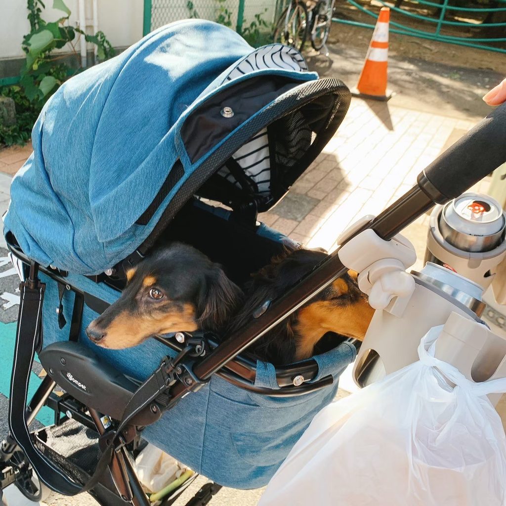 カートのるかいとそら