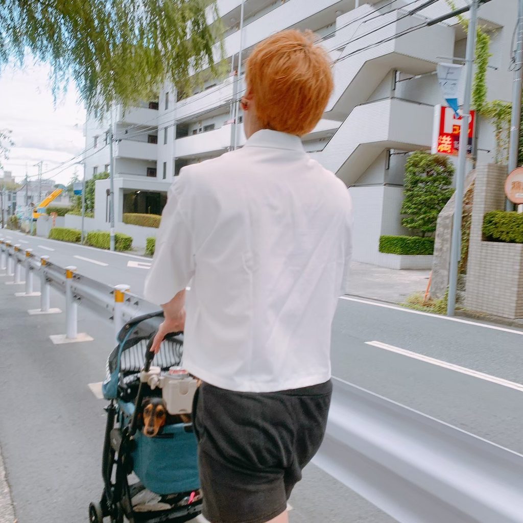 カートで散歩