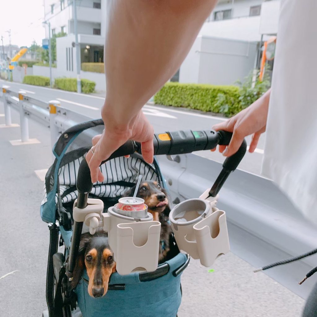 カートで散歩