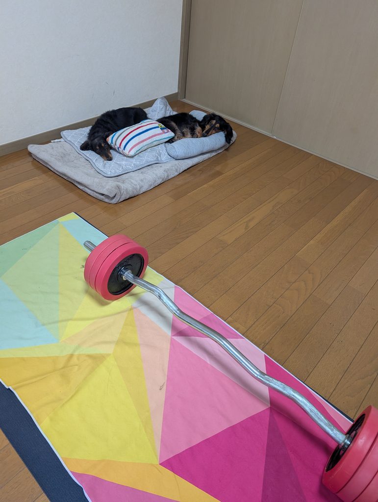 筋トレ終わりを犬