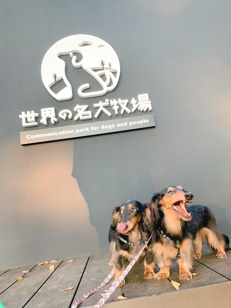 そらのあくび